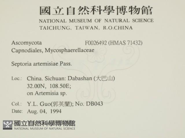 登錄號:F0026492藏品圖，第2張