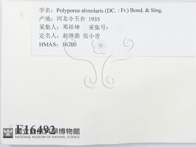 登錄號:F0016492藏品圖，第2張