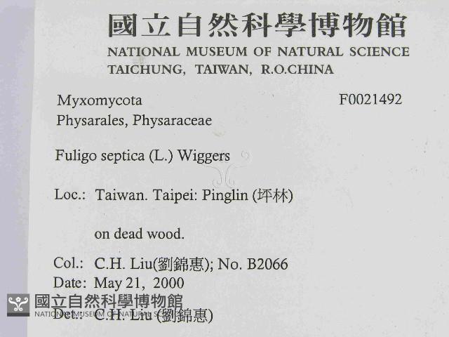 登錄號:F0021492藏品圖，第2張
