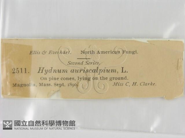 登錄號:F0011492藏品圖，第2張