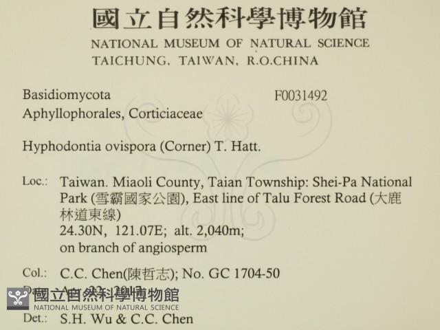 登錄號:F0031492藏品圖，第2張