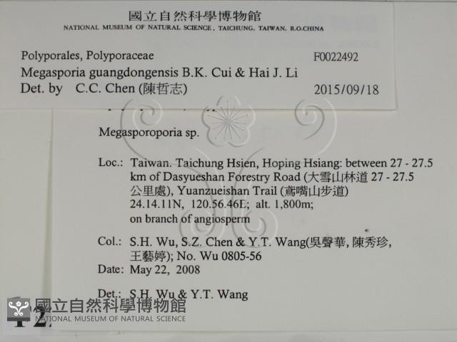 登錄號:F0022492藏品圖，第2張