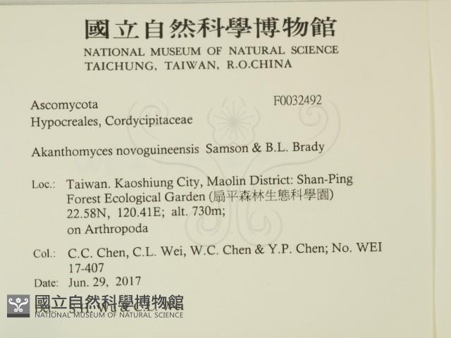 登錄號:F0032492藏品圖，第2張