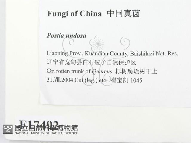 登錄號:F0017492藏品圖，第2張