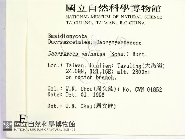 登錄號:F0005492藏品圖，第2張