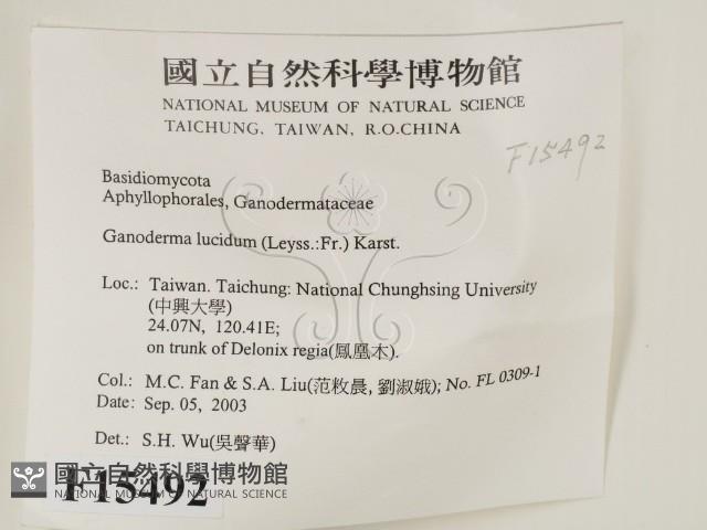 登錄號:F0015492藏品圖，第2張