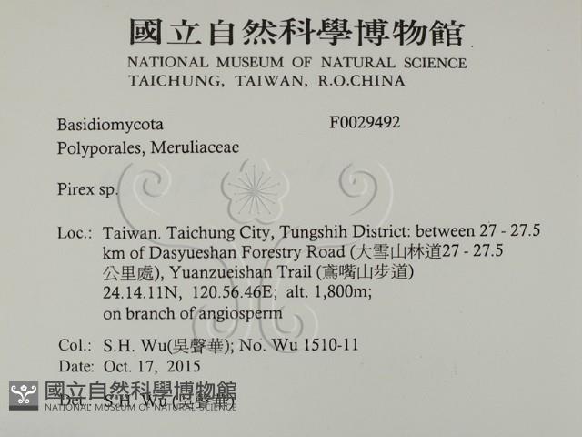 登錄號:F0029492藏品圖，第2張