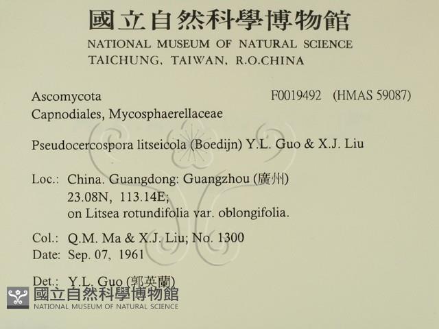 登錄號:F0019492藏品圖，第2張