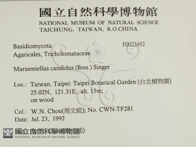 登錄號:F0023492藏品圖，第2張