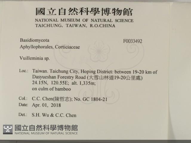 登錄號:F0033492藏品圖，第2張