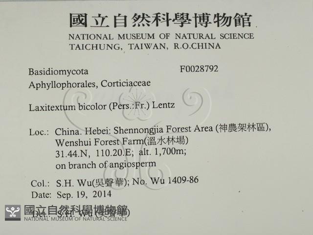 登錄號:F0028792藏品圖，第2張