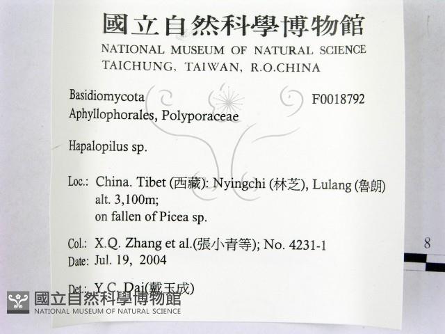登錄號:F0018792藏品圖，第2張