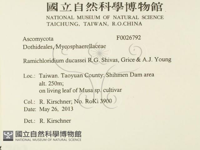 登錄號:F0026792藏品圖，第2張