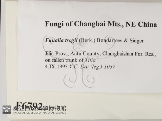 登錄號:F0006792藏品圖，第2張
