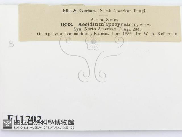 登錄號:F0011792藏品圖，第2張