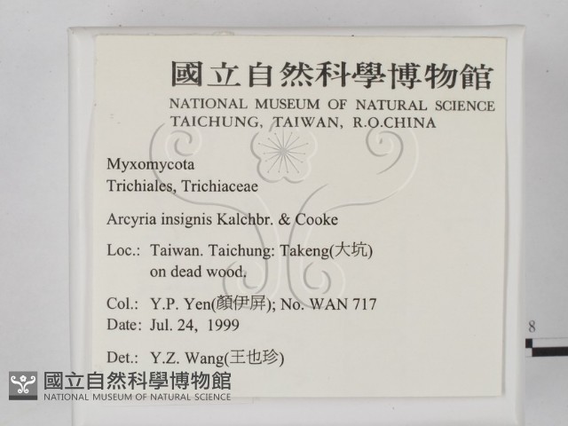 登錄號:F0009792藏品圖，第2張
