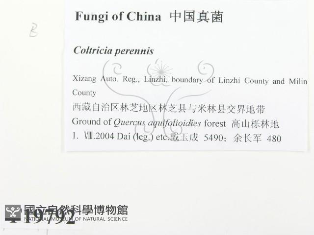 登錄號:F0019792藏品圖，第2張