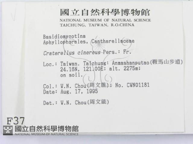 登錄號:F0003792藏品圖，第2張