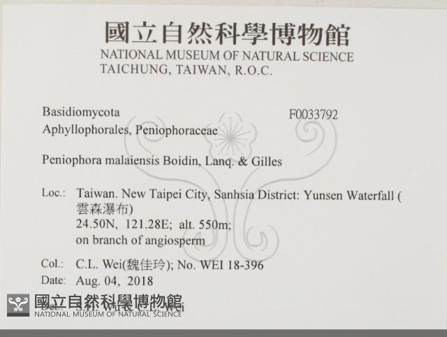 登錄號:F0033792藏品圖，第2張