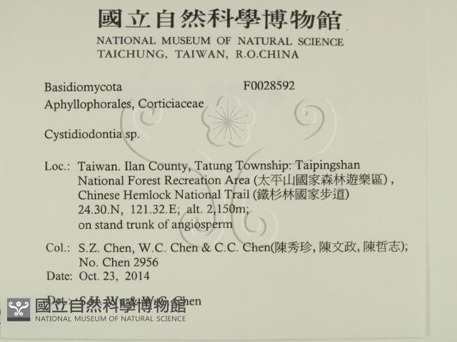 登錄號:F0028592藏品圖，第2張