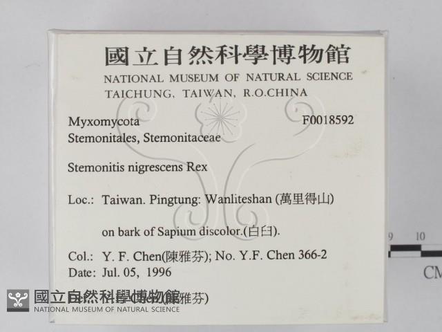 登錄號:F0018592藏品圖，第2張