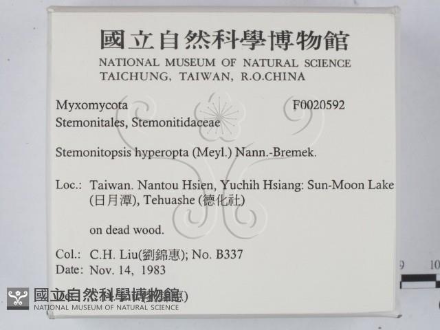 登錄號:F0020592藏品圖，第2張
