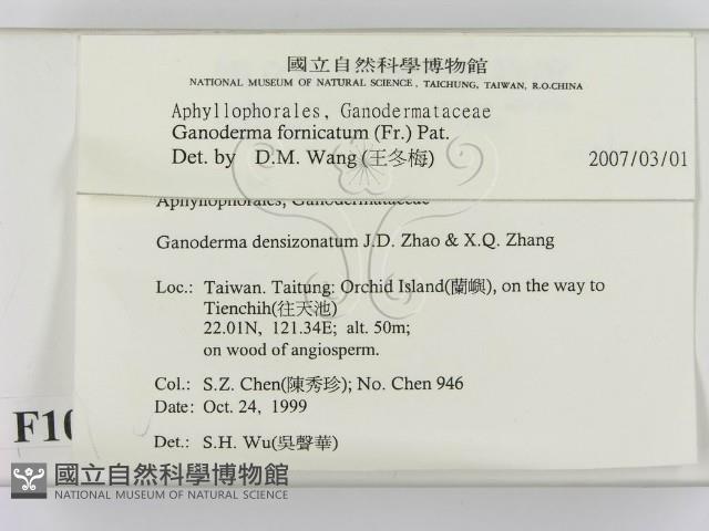 登錄號:F0010592藏品圖，第2張