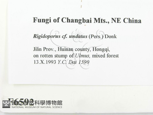 登錄號:F0006592藏品圖，第2張