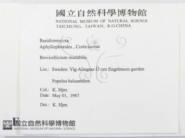登錄號:F0016592藏品圖，第2張