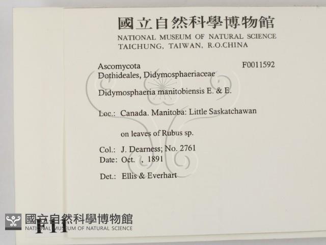 登錄號:F0011592藏品圖，第2張