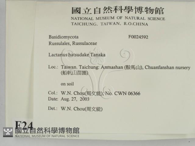 登錄號:F0024592藏品圖，第2張