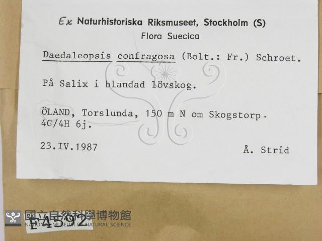 登錄號:F0004592藏品圖，第2張