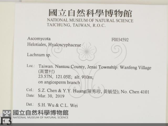 登錄號:F0034592藏品圖，第2張