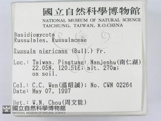 登錄號:F0007592藏品圖，第2張