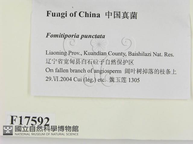登錄號:F0017592藏品圖，第2張