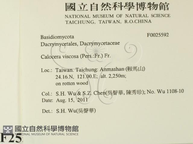 登錄號:F0025592藏品圖，第2張