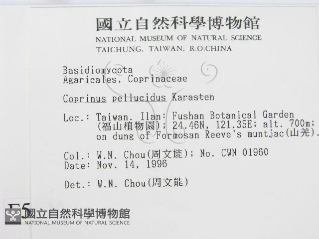 登錄號:F0005592藏品圖，第2張