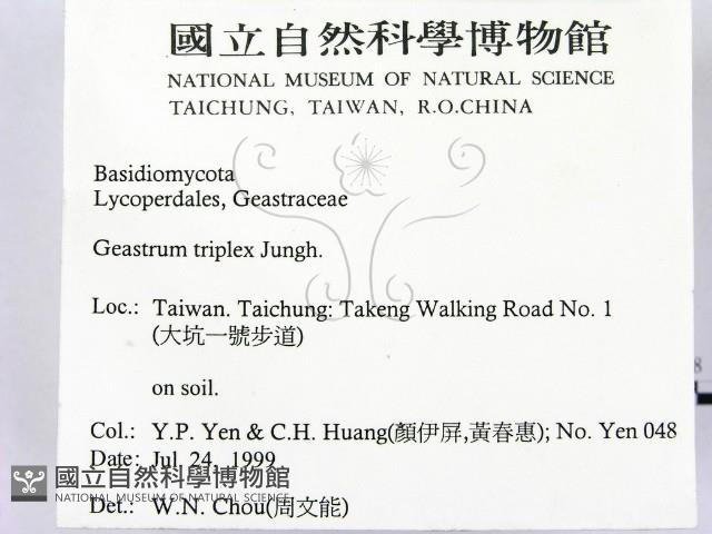 登錄號:F0015592藏品圖，第2張