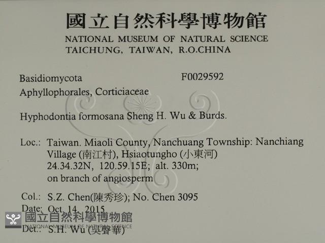 登錄號:F0029592藏品圖，第2張