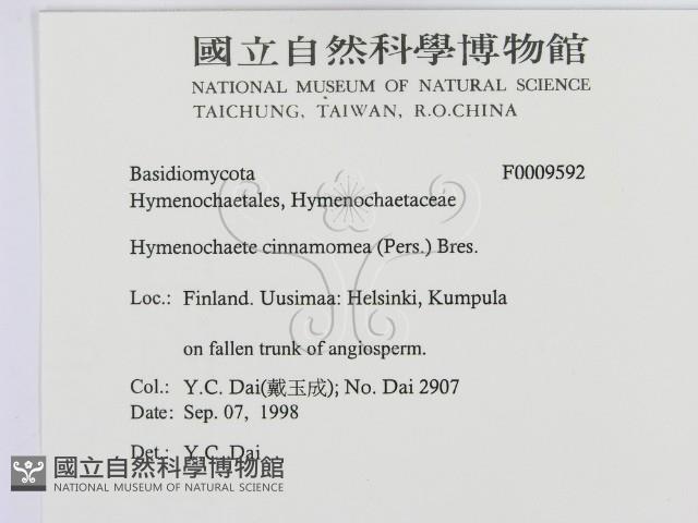 登錄號:F0009592藏品圖，第2張