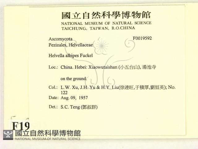 登錄號:F0019592藏品圖，第2張