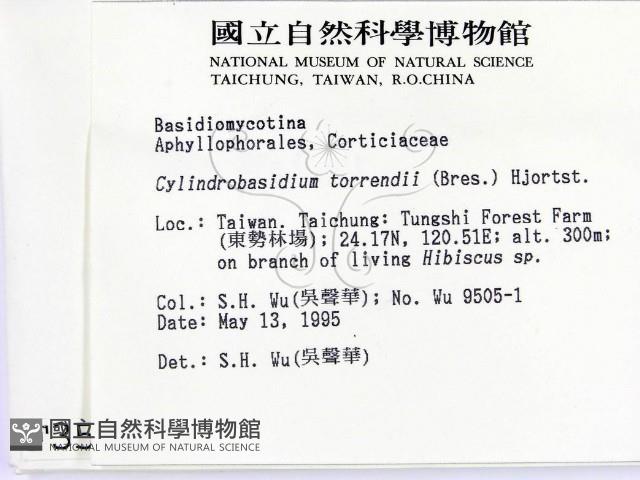 登錄號:F0003592藏品圖，第2張