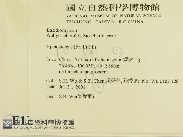 登錄號:F0013592藏品圖，第2張