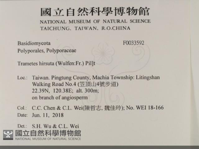 登錄號:F0033592藏品圖，第2張