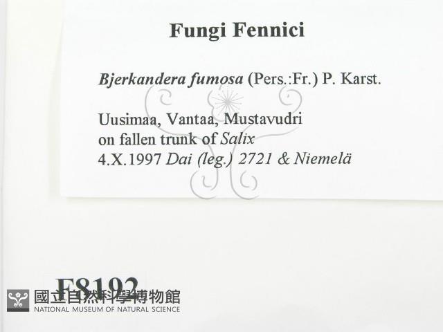 登錄號:F0008192藏品圖，第2張