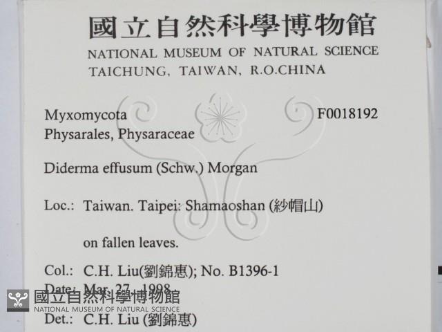登錄號:F0018192藏品圖，第2張