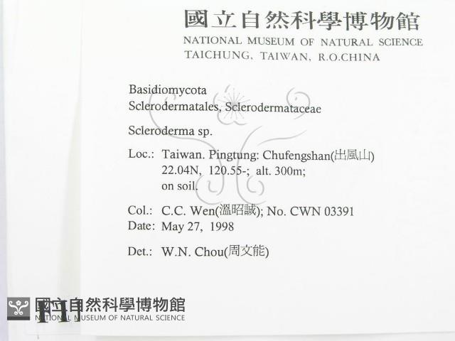 登錄號:F0011192藏品圖，第2張