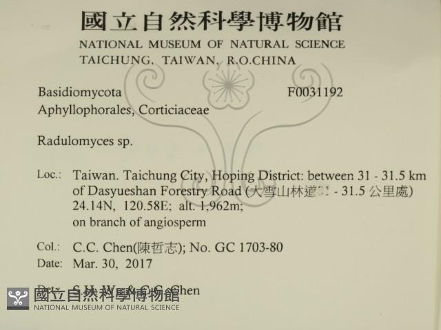 登錄號:F0031192藏品圖，第2張