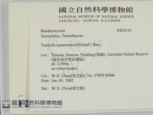 登錄號:F0024192藏品圖，第2張