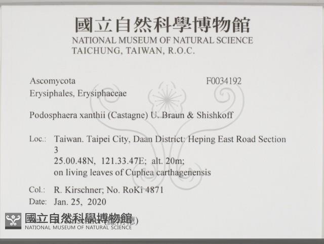 登錄號:F0034192藏品圖，第2張